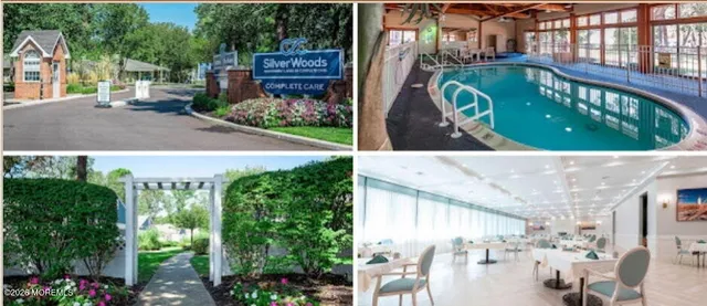 a view of a back yard