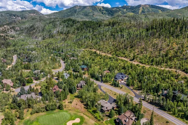 view of a lush green hillside and houses