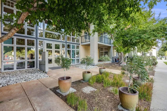 a backyard of a house with fountain plants and large tree