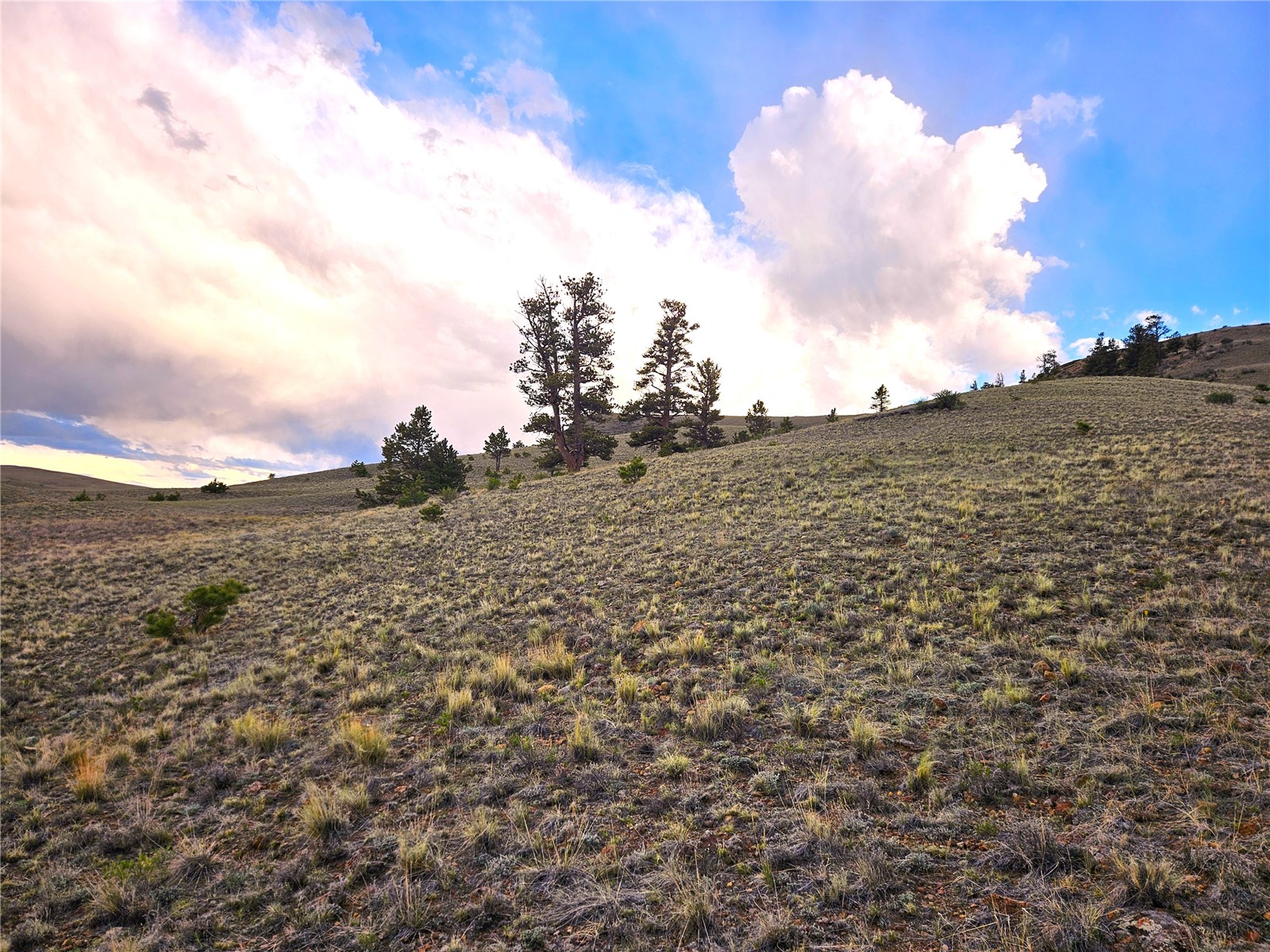 Pcs#25427 Yuma Road Hartsel, CO 80449 - Photo 15 of 29