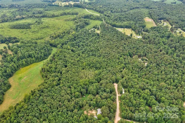 a view of a forest with a house