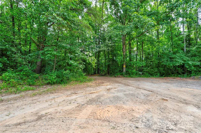a view of a field with plants in front of it