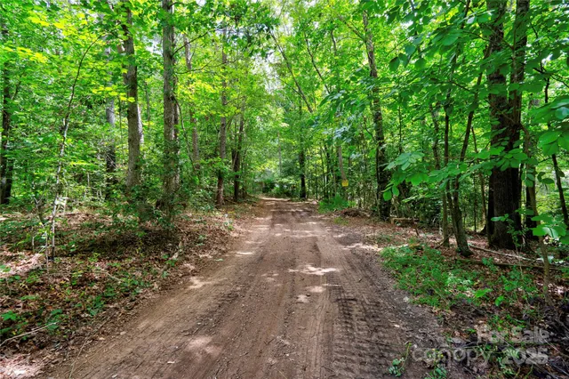a view of outdoor space and trees all around