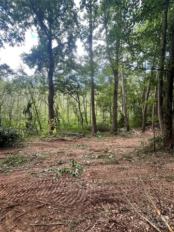 a view of outdoor space with trees