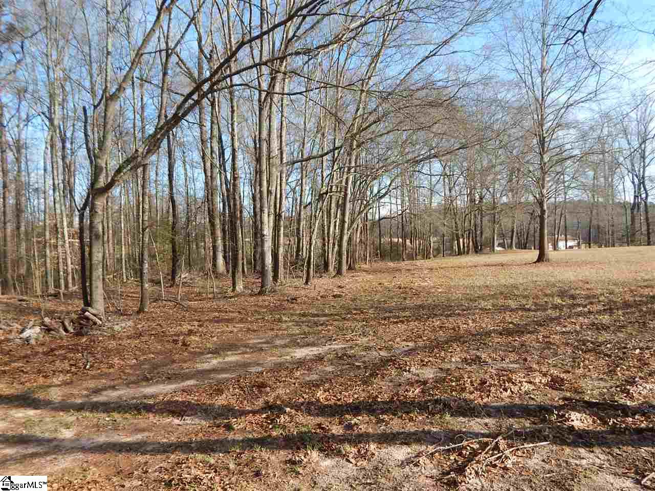 Edwards Road Lyman, SC 29365 - Photo 3 of 10
