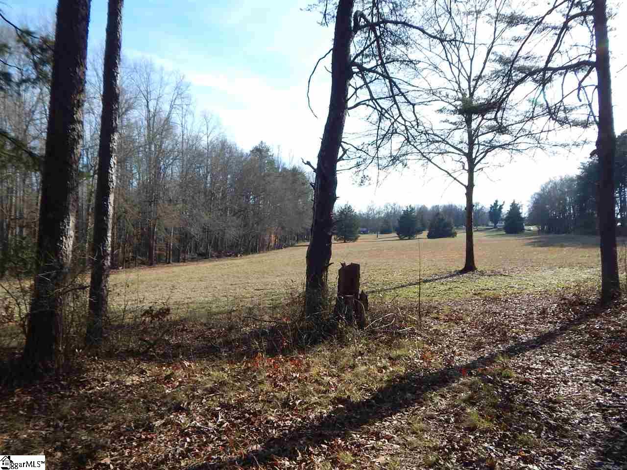 Edwards Road Lyman, SC 29365 - Photo 4 of 10