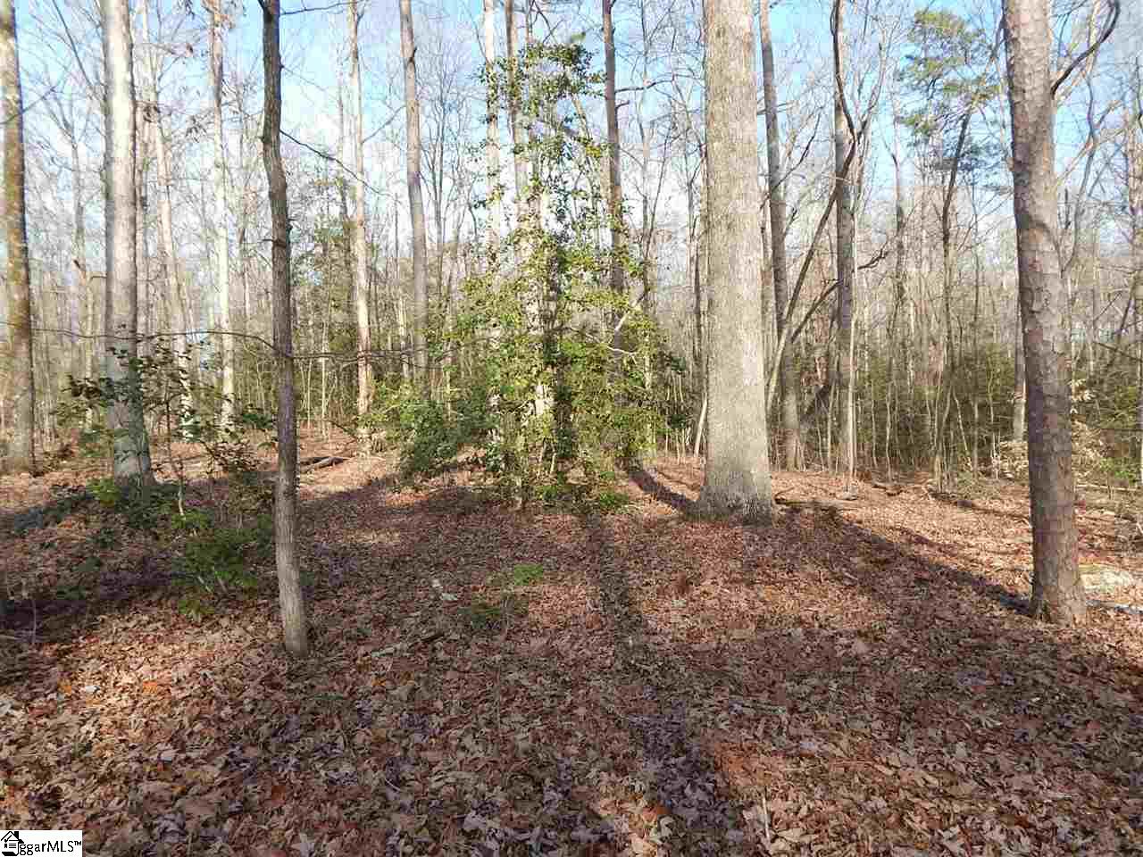 Edwards Road Lyman, SC 29365 - Photo 5 of 10