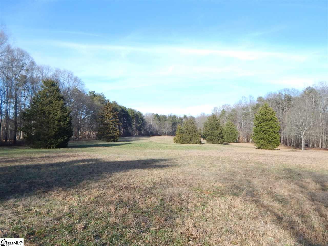 Edwards Road Lyman, SC 29365 - Photo 6 of 10