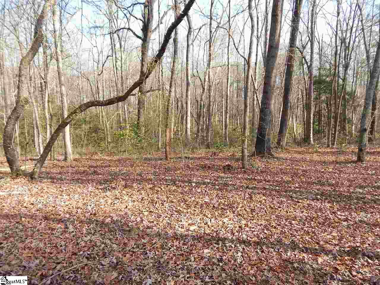 Edwards Road Lyman, SC 29365 - Photo 7 of 10