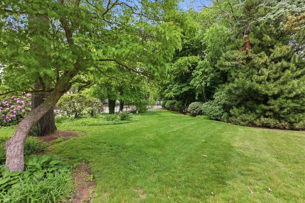 127 Larchmont Road Melrose, MA 02176 - Photo 36 of 42