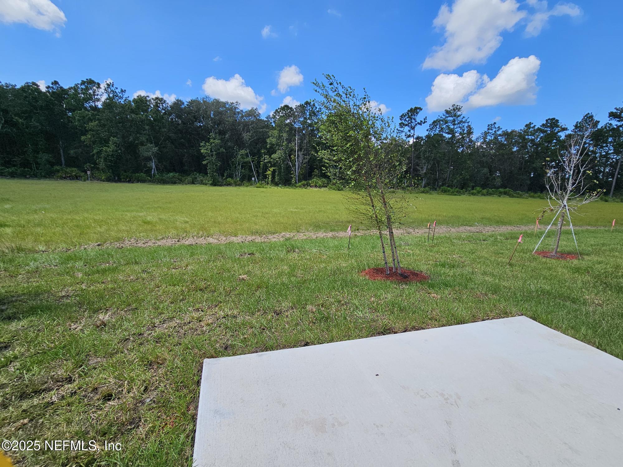 595 Orellana Road St. Augustine, FL 32084 - Photo 27 of 58 backyard