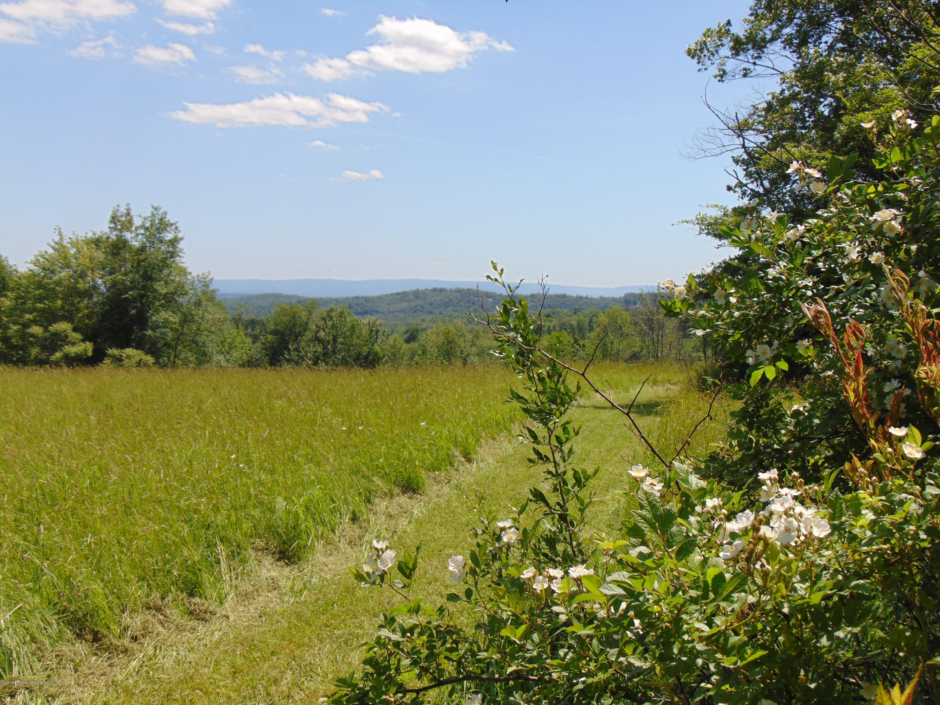 6000 State Rte 3004 Meshoppen, PA 18630 - Photo 13 of 25 a view of a lake with a garden