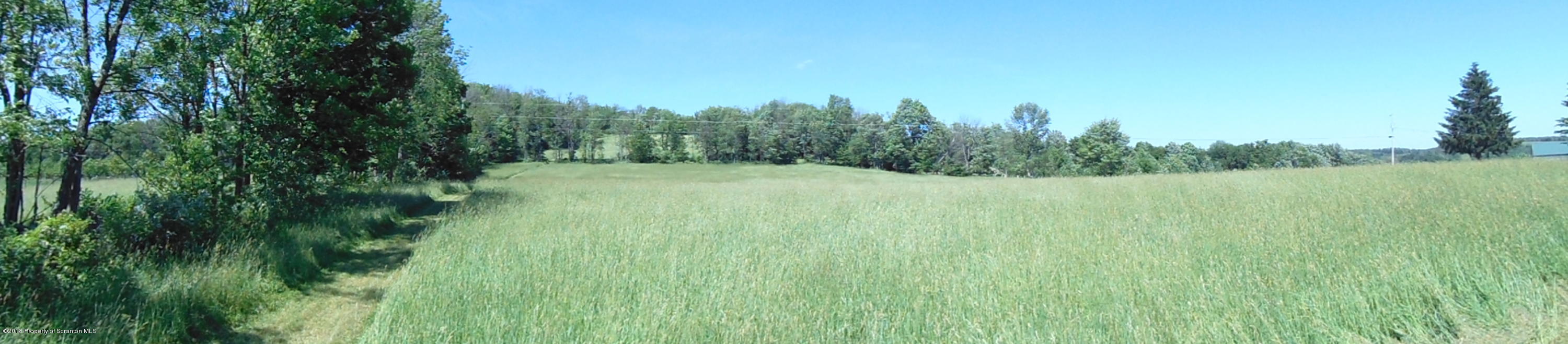 6000 State Rte 3004 Meshoppen, PA 18630 - Photo 17 of 25 a view of a lush green space
