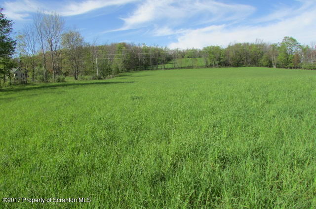 6000 State Rte 3004 Meshoppen, PA 18630 - Photo 3 of 25 a view of field with trees in the background