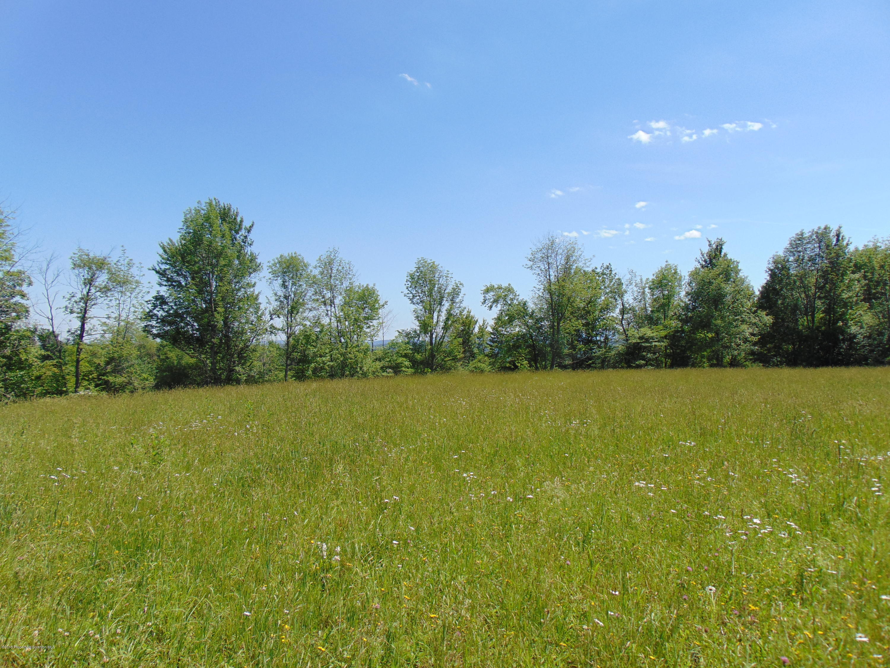 6000 State Rte 3004 Meshoppen, PA 18630 - Photo 5 of 25 a view of a field with trees in the background