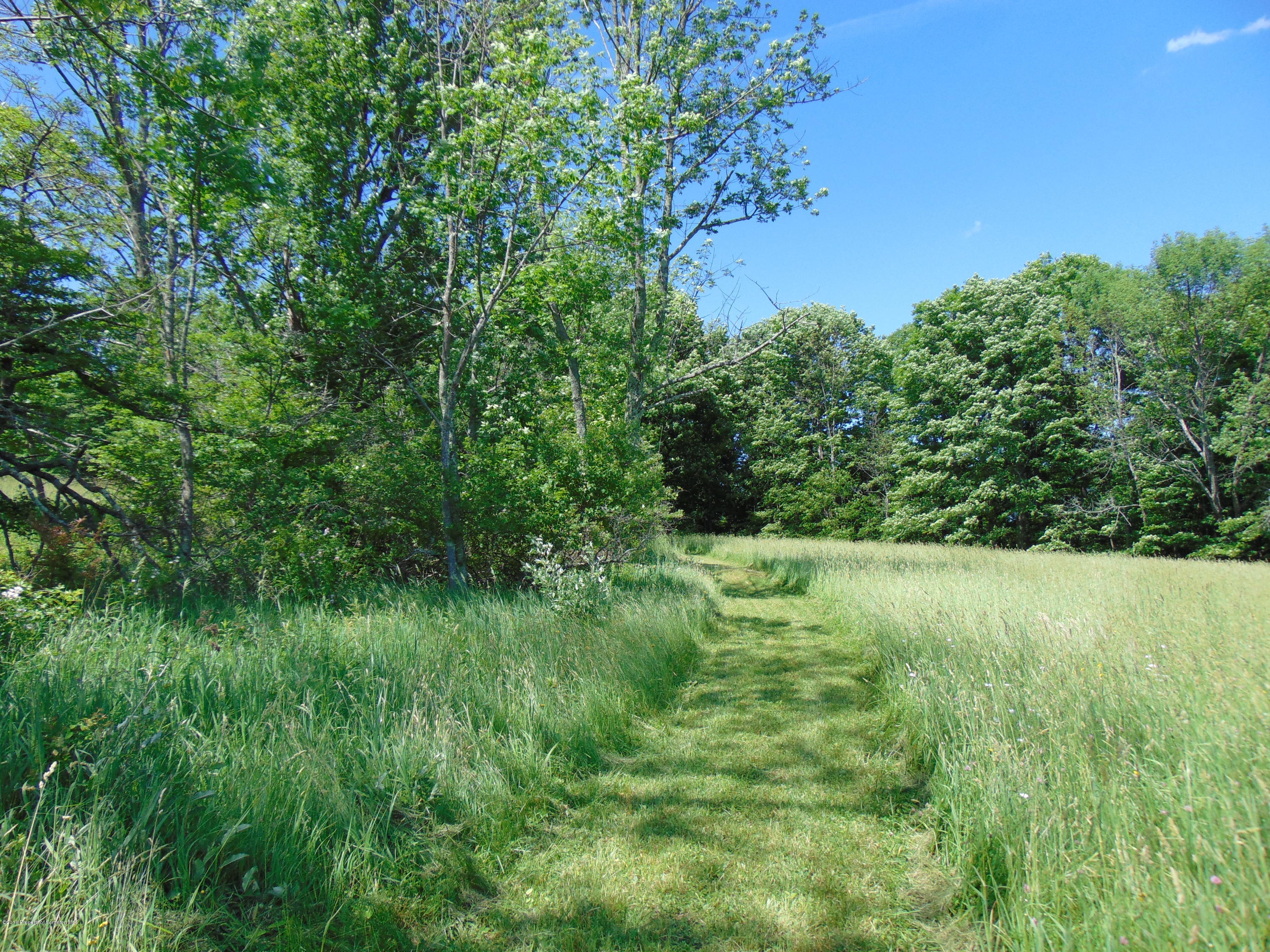 6000 State Rte 3004 Meshoppen, PA 18630 - Photo 10 of 25 a view of a lush green space
