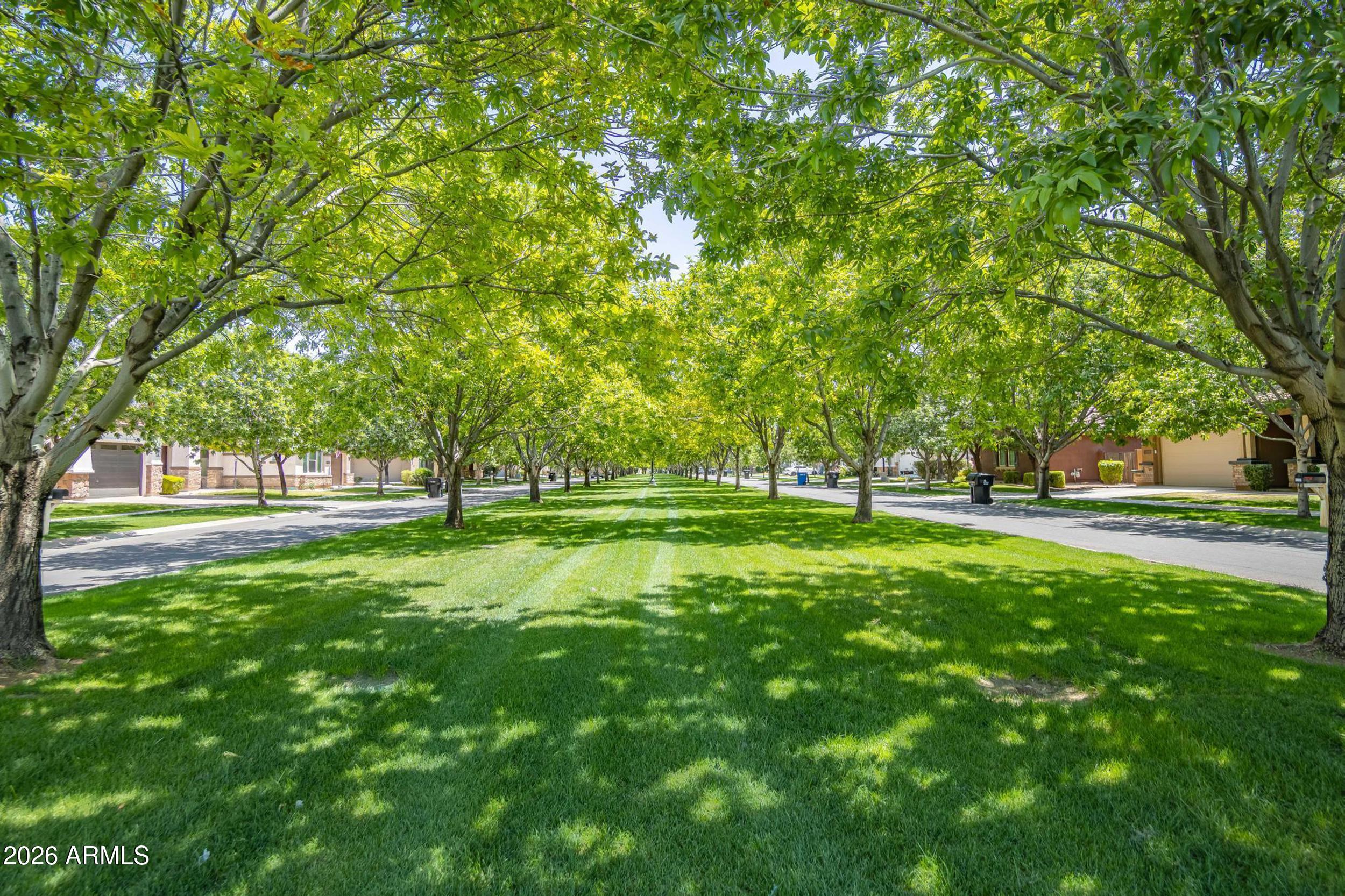 3521 East Morrison Ranch Parkway Gilbert, AZ 85296 - Photo 59 of 65 Community