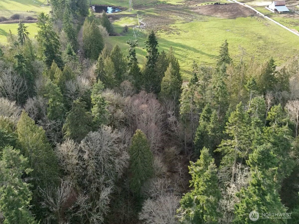 33247 Eglon Road Northeast Kingston, WA 98346 - Photo 4 of 10