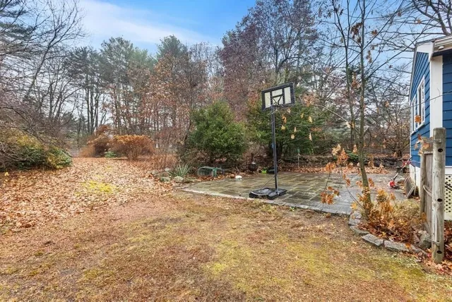 a view of a yard with trees