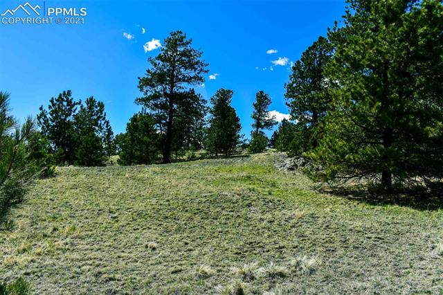Lot 60 B Road Guffey, CO 80820 - Photo 26 of 28