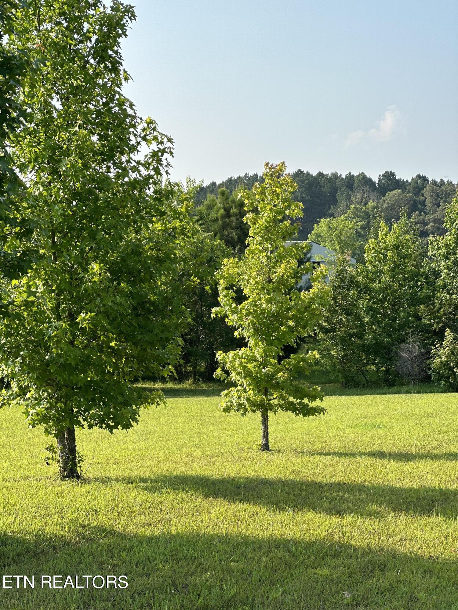 1834 Paint Rock Valley Road Philadelphia, TN 37846 - Photo 30 of 48 IMG_1346