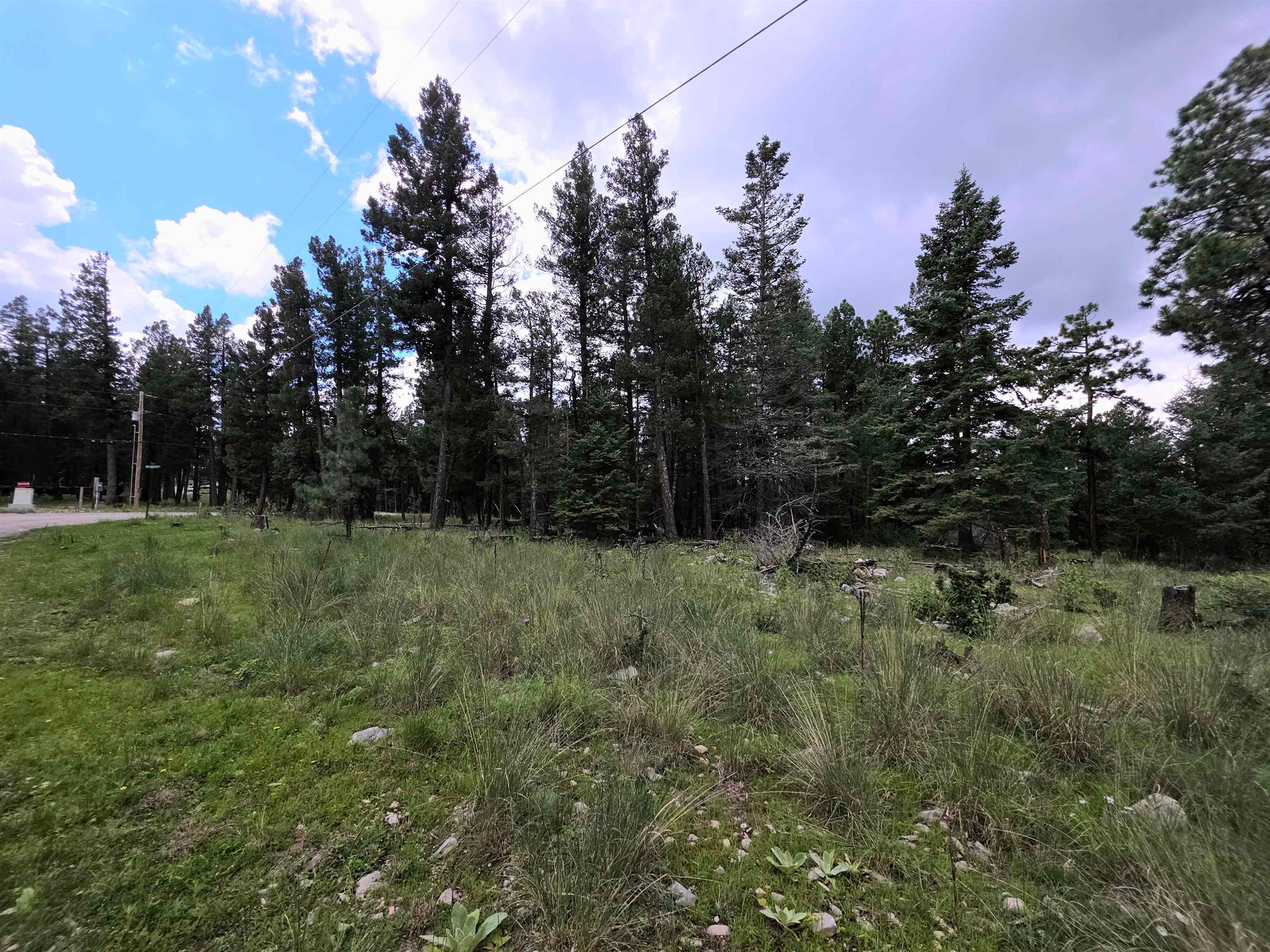 Lot 58 Big Dipper Road Mayhill, NM 88339 - Photo 47 of 50 Gallery Image 47