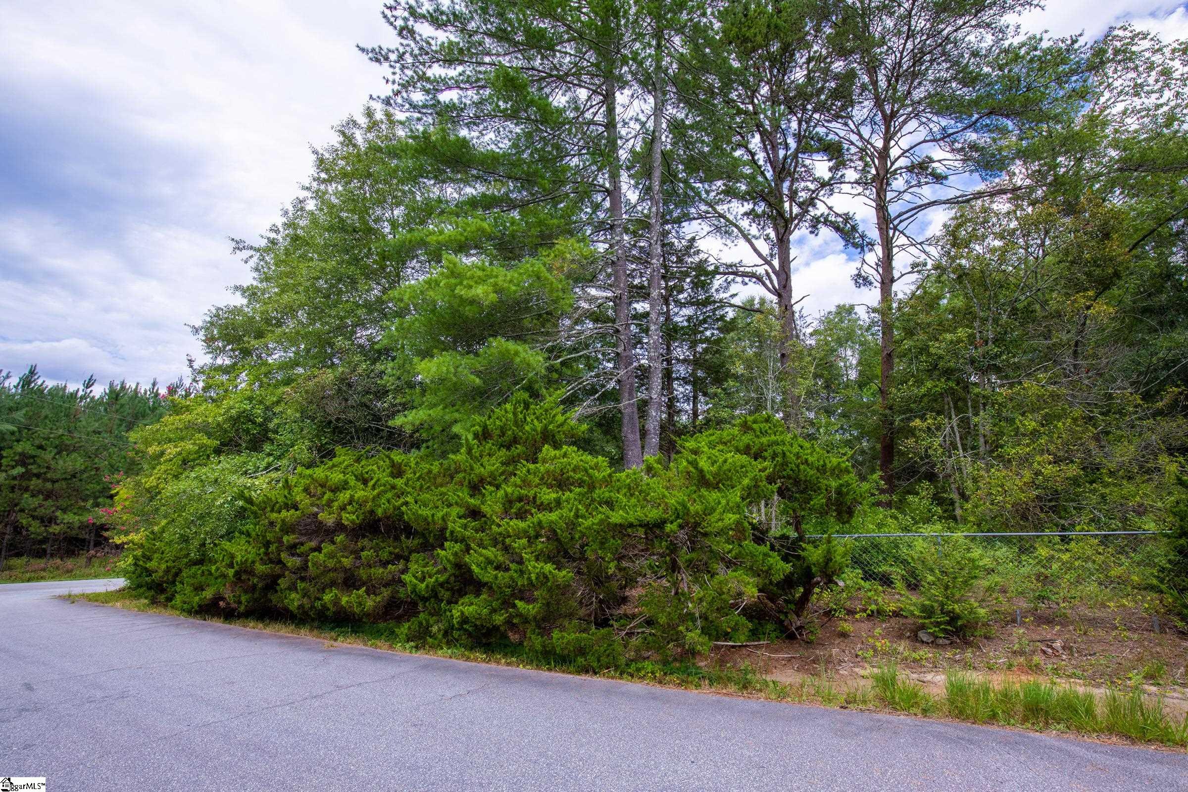 647 Old Bethlehem Road Pickens, SC 29671 - Photo 4 of 26