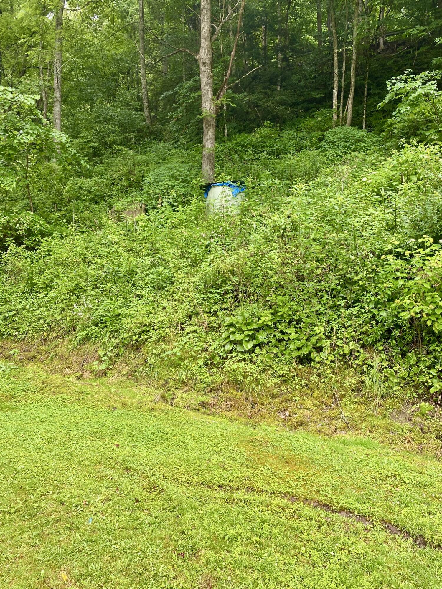 459 Simerly Creek Road Hampton, TN 37658 - Photo 29 of 38 29