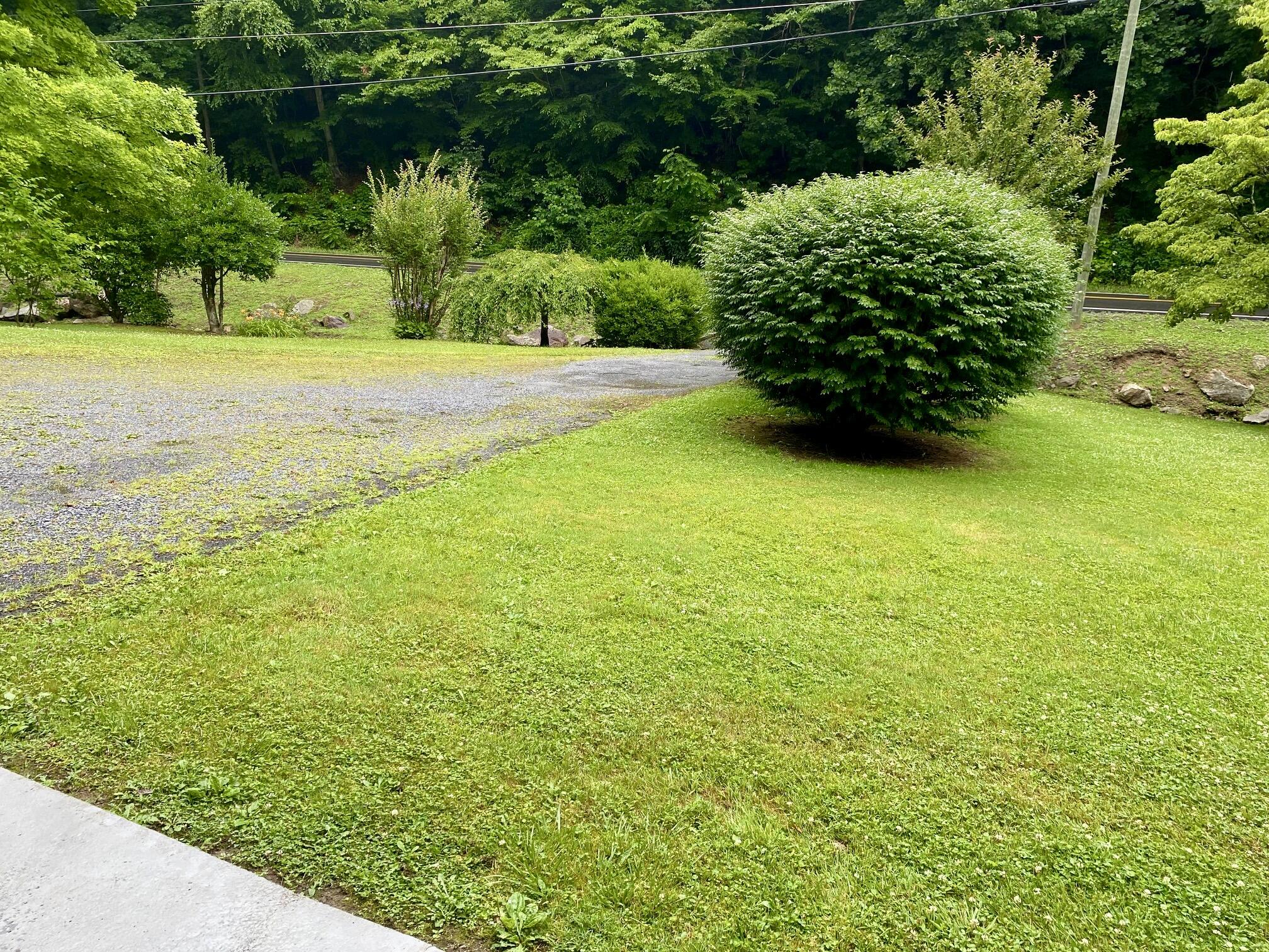 459 Simerly Creek Road Hampton, TN 37658 - Photo 32 of 38 32