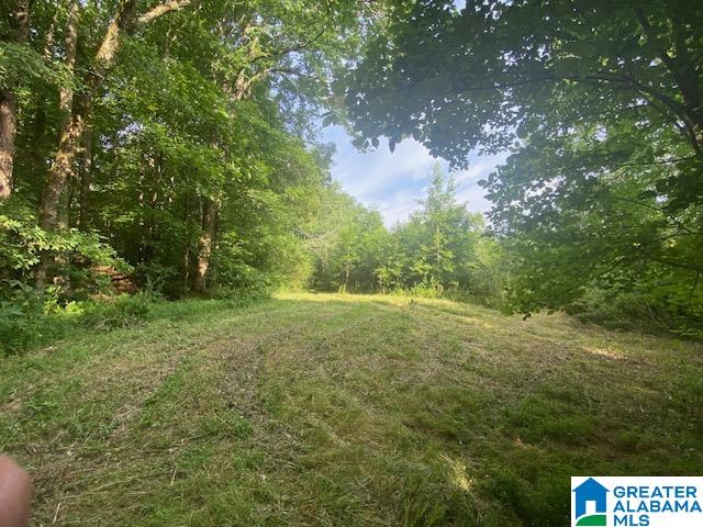 0 Highway 231, Unit 88 / AC Cleveland, AL 35049 - Photo 18 of 20