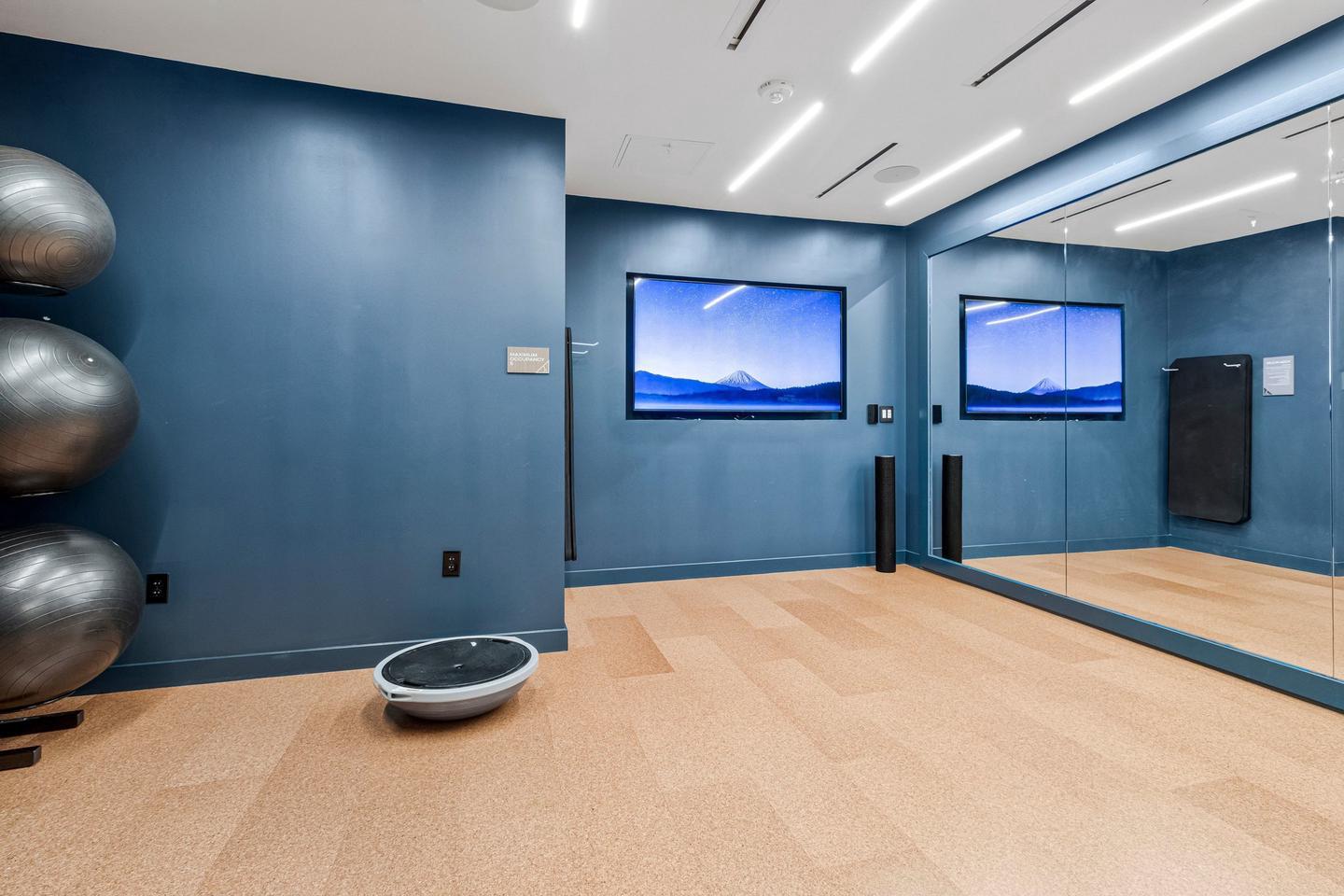 7175 12th Street Northwest, Unit 302 Washington, DC 20012 - Photo 34 of 54 Yoga room