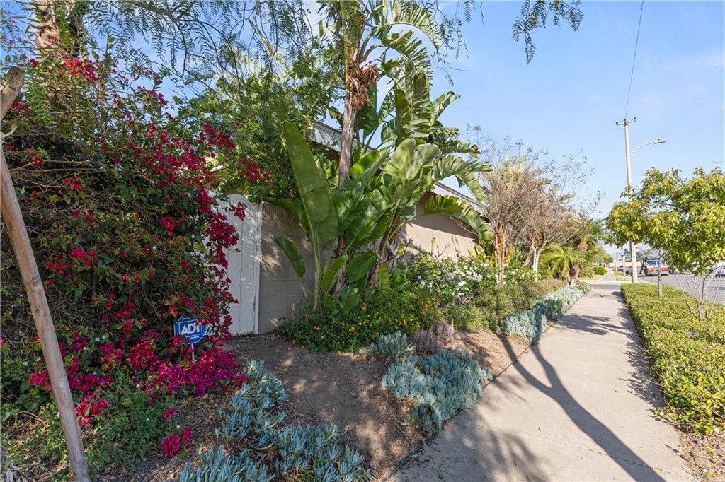 1766 North Mockingbird Place Orange, CA 92867 - Photo 35 of 39 a picture of flowers