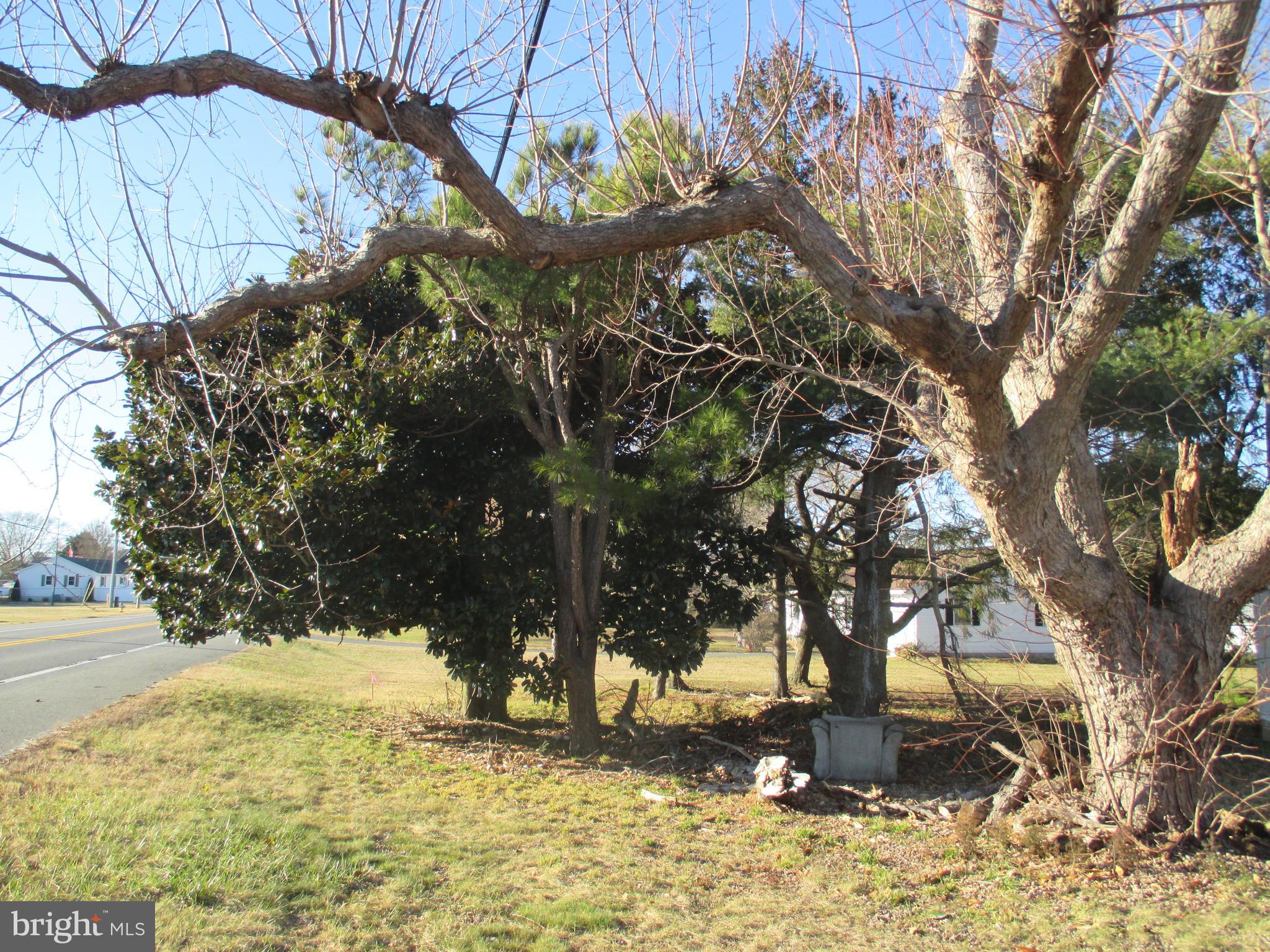 29791 Armory Road Dagsboro, DE 19939 - Photo 12 of 12 a view of snow covered with trees