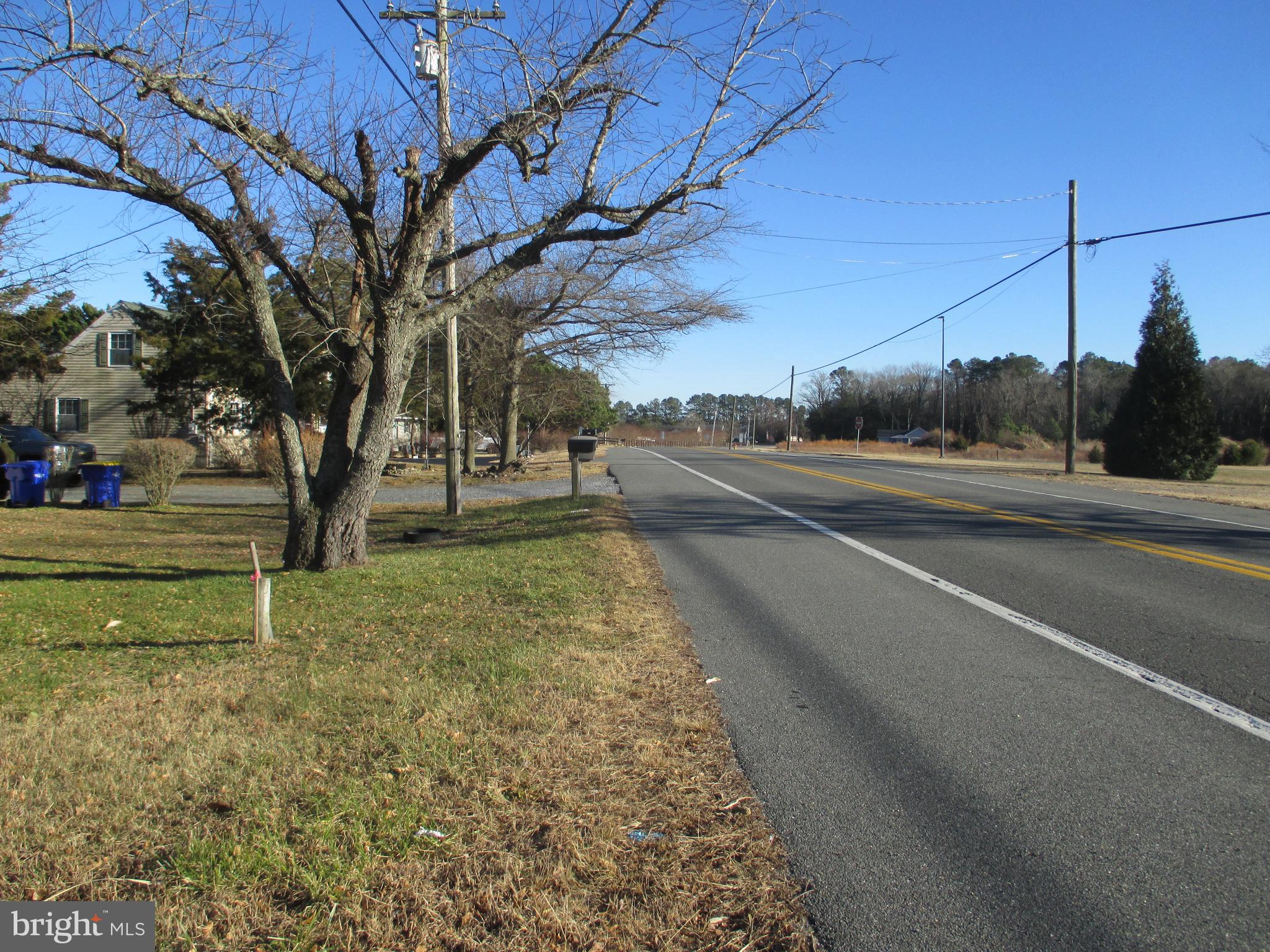 29791 Armory Road Dagsboro, DE 19939 - Photo 2 of 12 a view of a street with a large tree