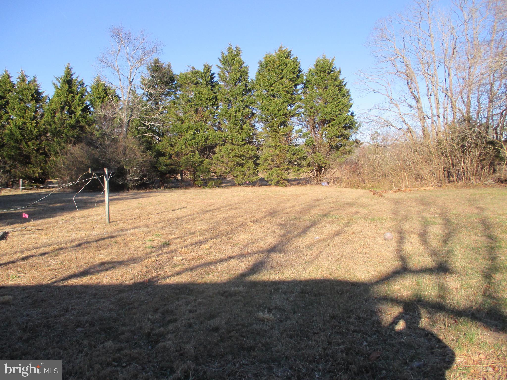 29791 Armory Road Dagsboro, DE 19939 - Photo 6 of 12 a view of empty space and trees