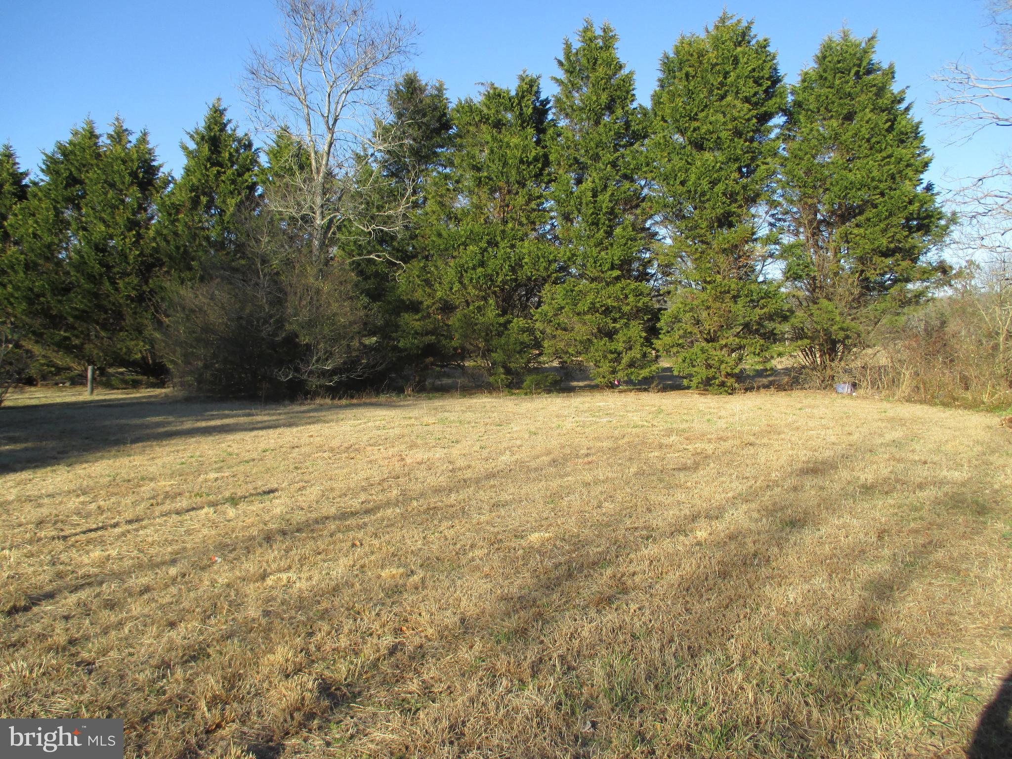29791 Armory Road Dagsboro, DE 19939 - Photo 7 of 12 a view of yard with large trees