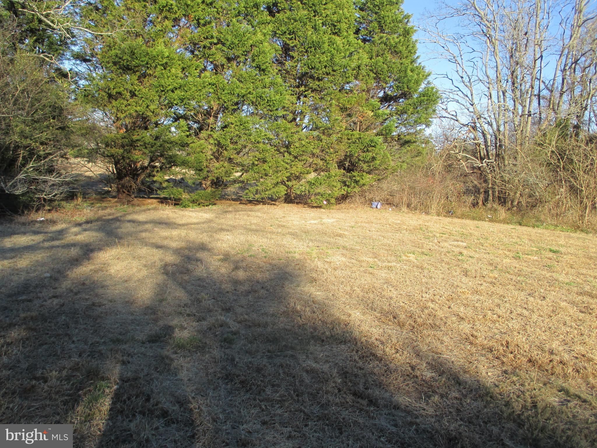 29791 Armory Road Dagsboro, DE 19939 - Photo 9 of 12 a view of empty field with trees
