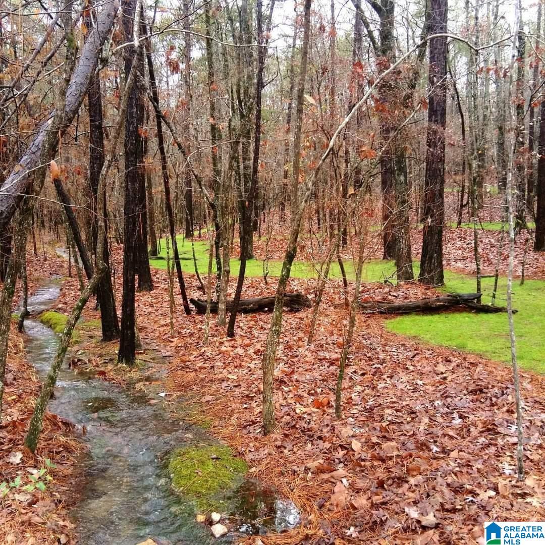 900 County Road 772 Montevallo, AL 35115 - Photo 58 of 58