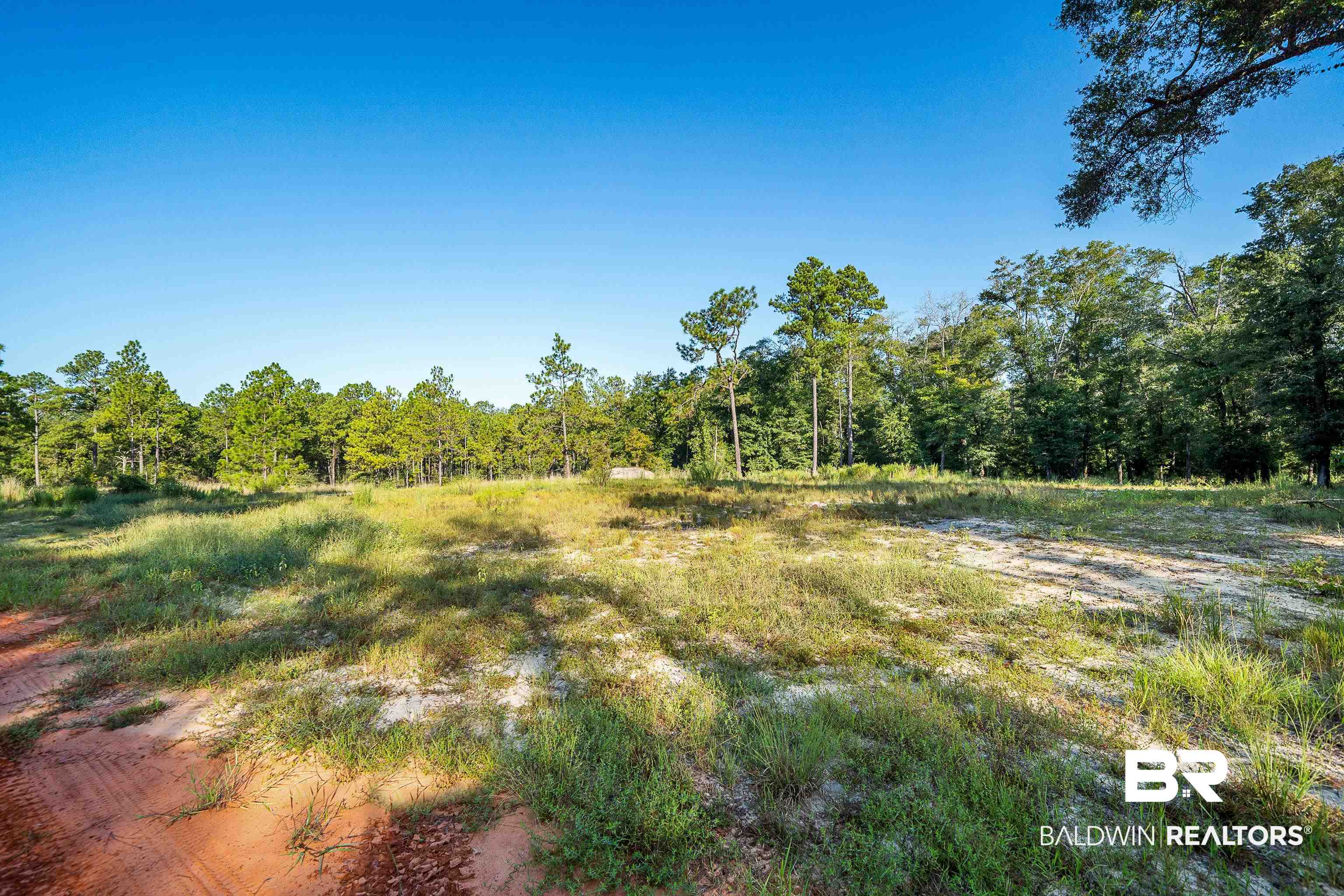 8190 Dixon Road Bay Minette, AL 36507 - Photo 6 of 13