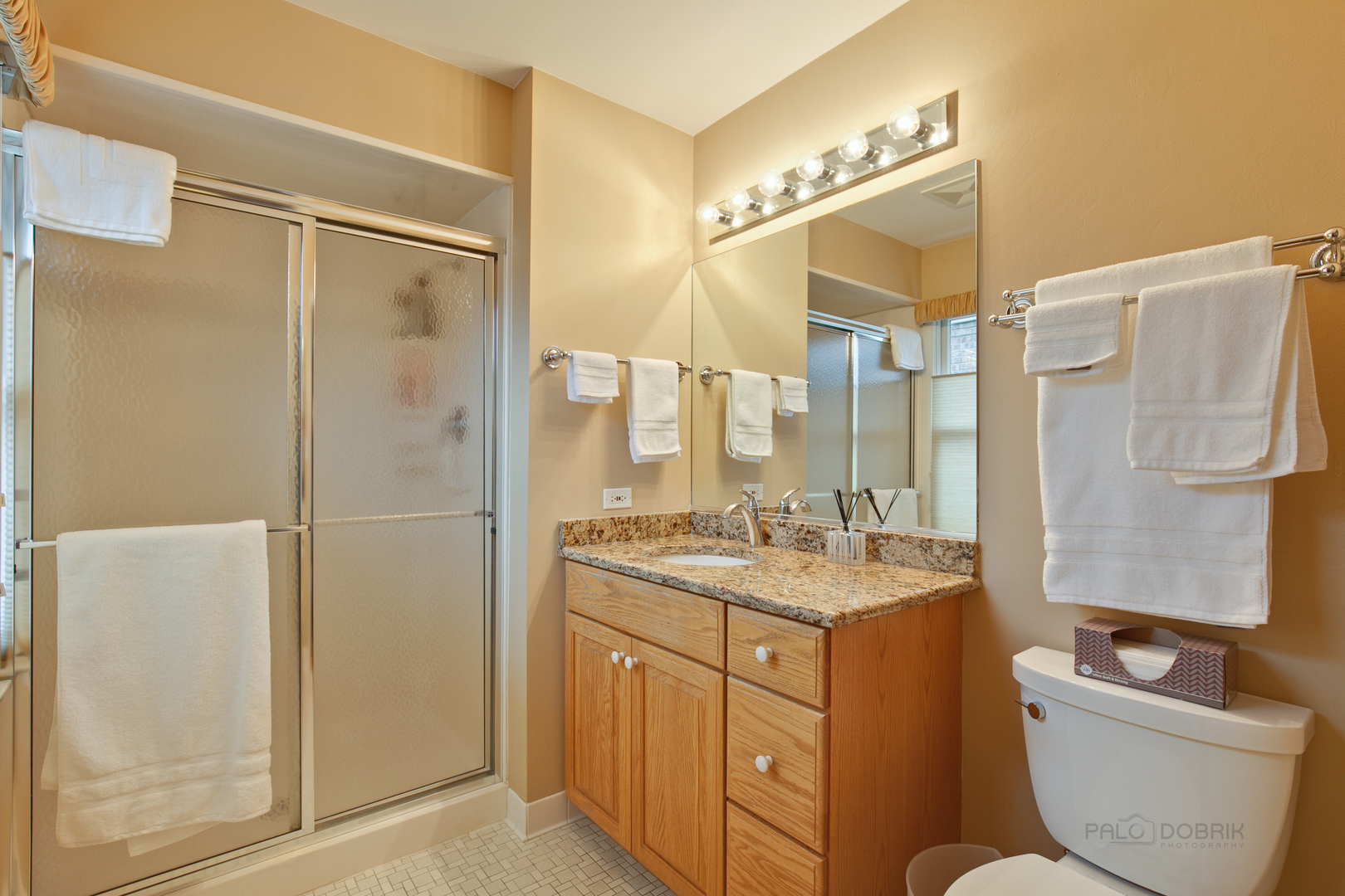 33 Ferndale Road Deer Park, IL 60010 - Photo 17 of 31 a bathroom with a granite countertop sink toilet a mirror a bathtub and shower
