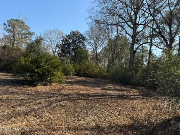 $148,000 | Water Tank Road, Sandy Hook, MS 39478