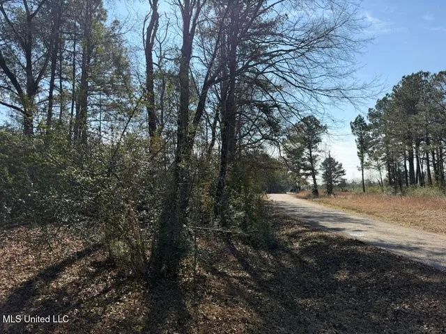 $148,000 | Water Tank Road, Sandy Hook, MS 39478