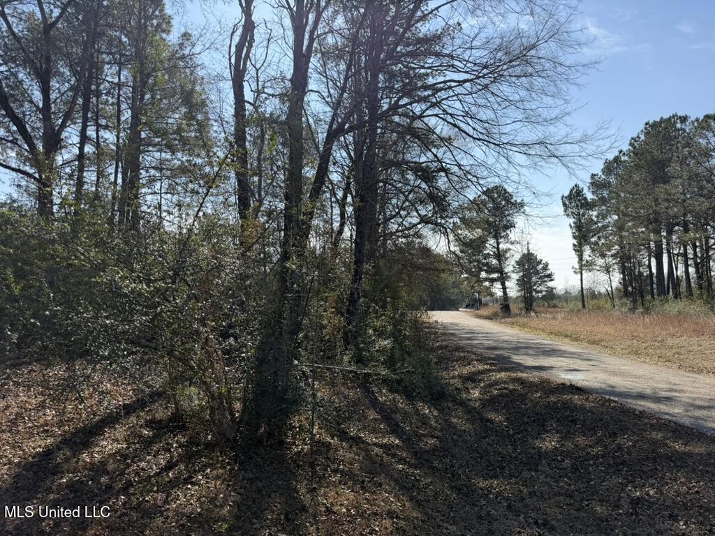 Water Tank Road Sandy Hook, MS 39478 - Photo 14 of 15 CB0B4CA0-826F-433C-AB94-FC958FBF2018_1_1
