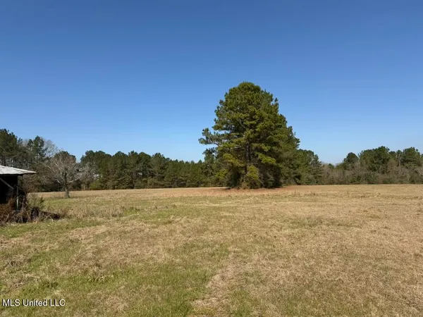 $148,000 | Water Tank Road, Sandy Hook, MS 39478