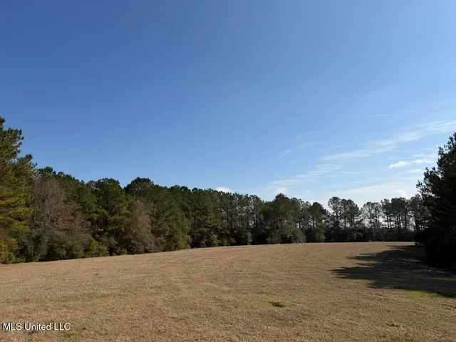 $148,000 | Water Tank Road, Sandy Hook, MS 39478