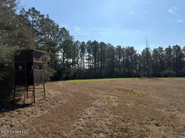 $148,000 | Water Tank Road, Sandy Hook, MS 39478