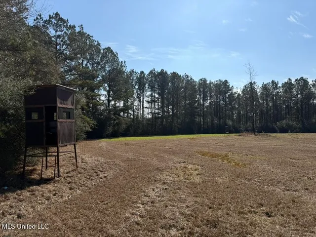 $148,000 | Water Tank Road, Sandy Hook, MS 39478
