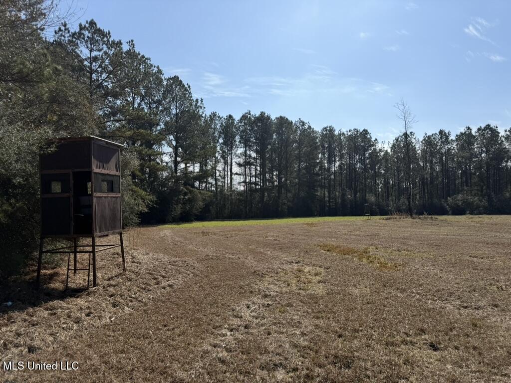 Water Tank Road Sandy Hook, MS 39478 - Photo 5 of 15 8EA2AC04-E397-404D-AE6A-0DB5C1F3D0C6_1_1