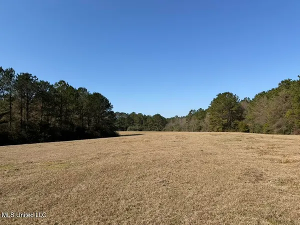 $148,000 | Water Tank Road, Sandy Hook, MS 39478