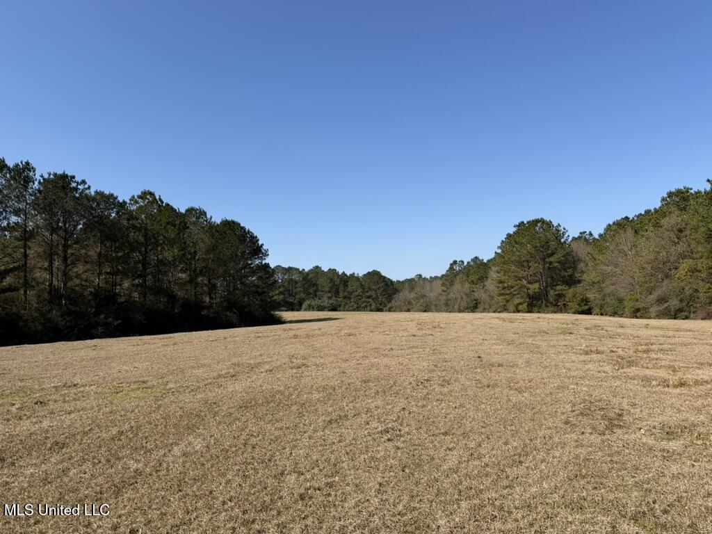 Water Tank Road Sandy Hook, MS 39478 - Photo 6 of 15 40FFEB65-4392-413E-9140-FBEB0E33D74B_1_1